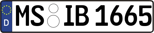MS-IB1665