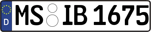 MS-IB1675