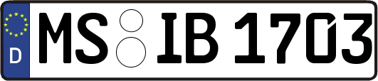 MS-IB1703