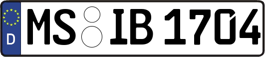 MS-IB1704