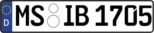 MS-IB1705