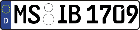 MS-IB1709