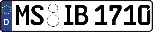 MS-IB1710
