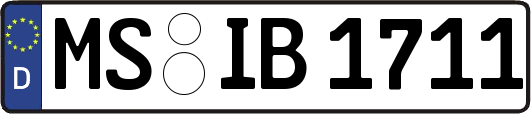 MS-IB1711