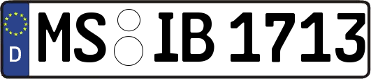 MS-IB1713
