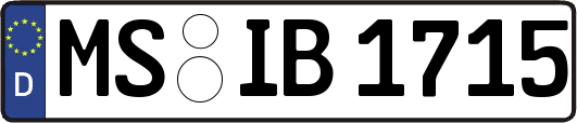 MS-IB1715
