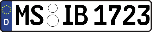 MS-IB1723