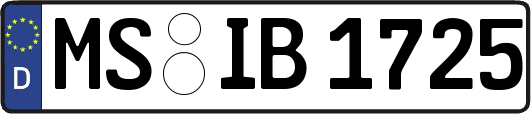 MS-IB1725