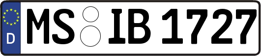 MS-IB1727
