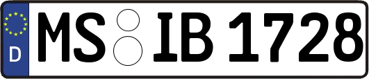MS-IB1728