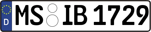 MS-IB1729