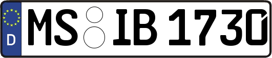 MS-IB1730
