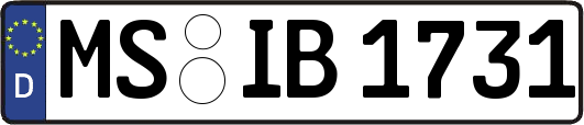 MS-IB1731