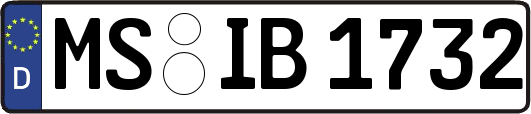 MS-IB1732