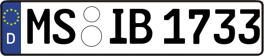 MS-IB1733