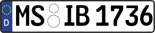 MS-IB1736