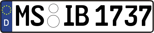 MS-IB1737