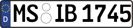MS-IB1745