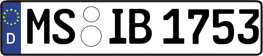 MS-IB1753