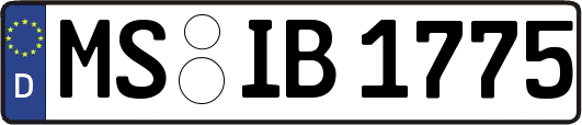 MS-IB1775