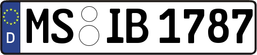 MS-IB1787