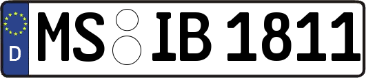 MS-IB1811