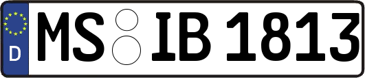 MS-IB1813