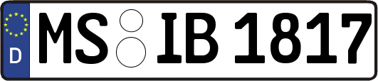 MS-IB1817