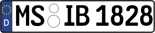 MS-IB1828