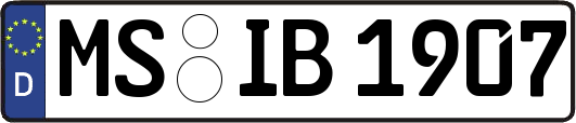 MS-IB1907
