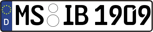 MS-IB1909