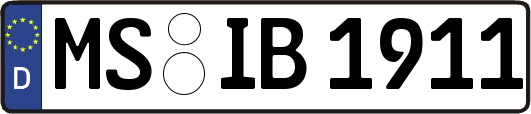 MS-IB1911