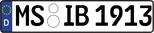 MS-IB1913