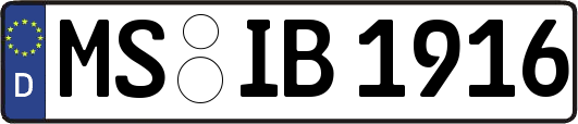 MS-IB1916