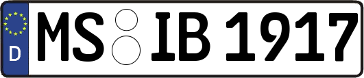 MS-IB1917