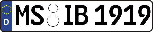 MS-IB1919