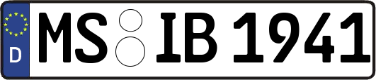 MS-IB1941