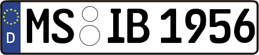 MS-IB1956