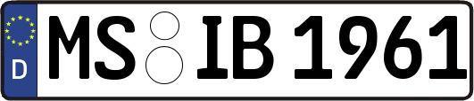 MS-IB1961