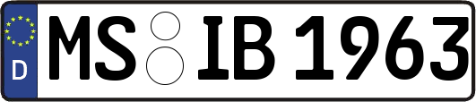 MS-IB1963