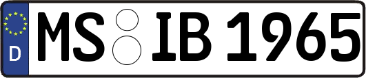 MS-IB1965