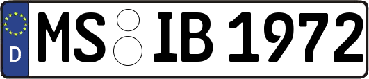 MS-IB1972