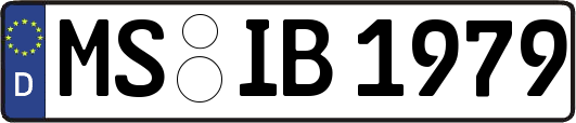 MS-IB1979