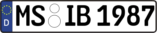 MS-IB1987