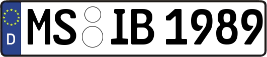 MS-IB1989
