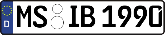 MS-IB1990