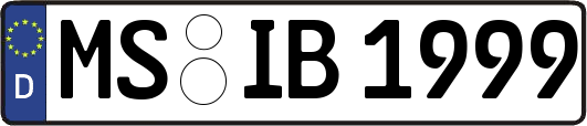 MS-IB1999