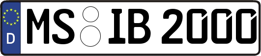 MS-IB2000