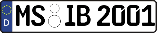 MS-IB2001
