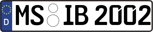 MS-IB2002